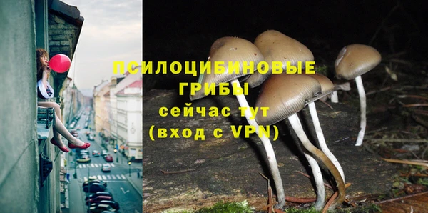 молекула духа Абинск