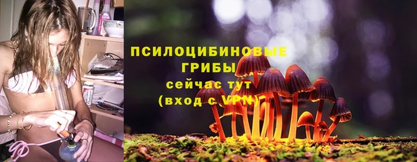 хмурый Алексеевка