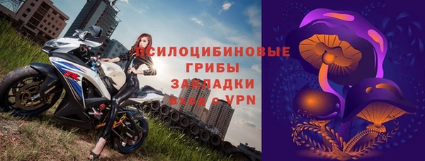 хмурый Алексеевка