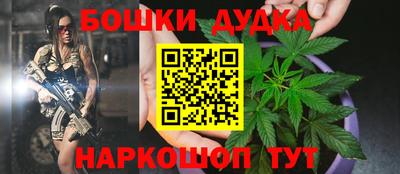 прущие грибы Вышний Волочёк
