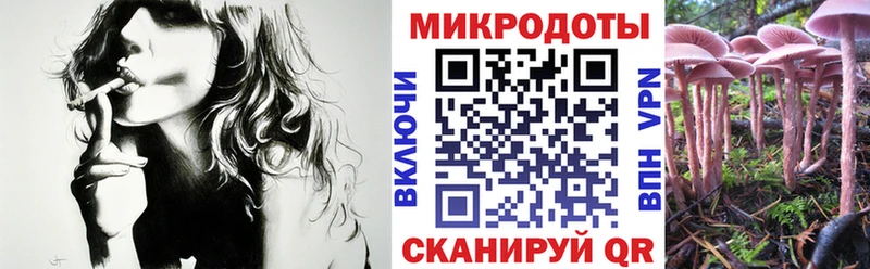 OMG как зайти  Краснокамск  Галлюциногенные грибы GOLDEN TEACHER 
