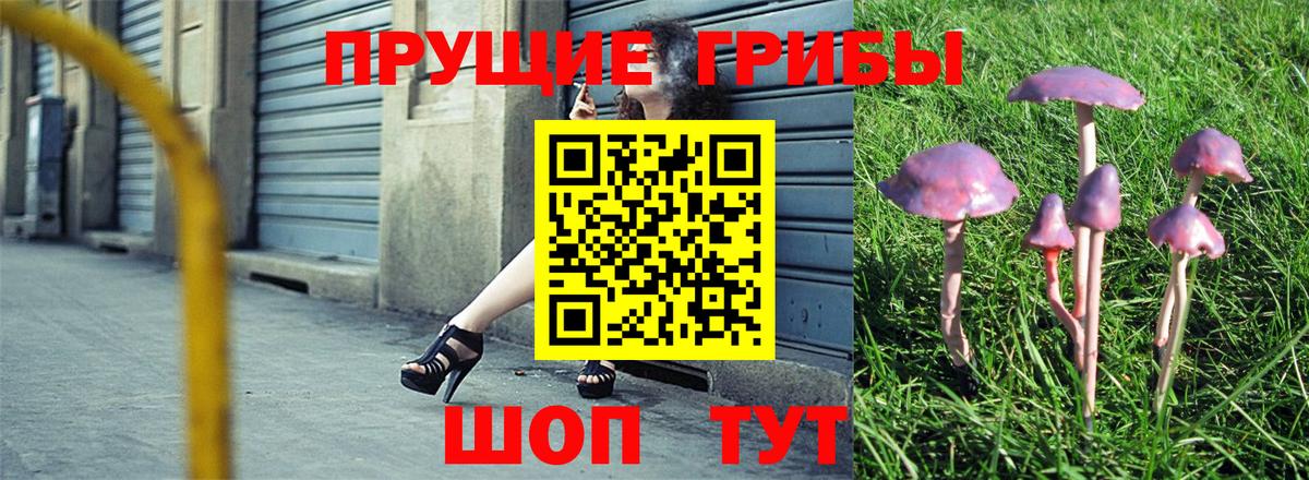 Псилоцибиновые грибы Cubensis  Псилоцибиновые грибы мицелий  Вход с VPN  купить закладку  Краснокамск 